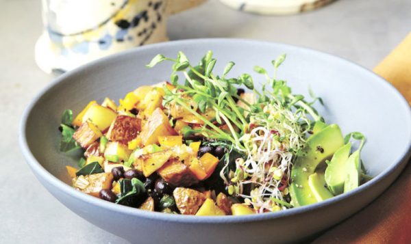 Plant Meal