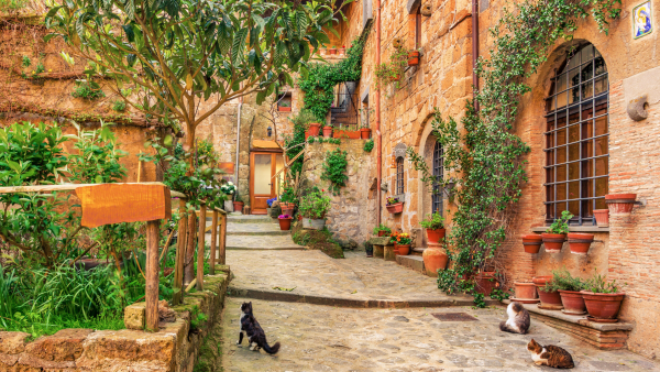 Ultimate Armchair Travel Guide