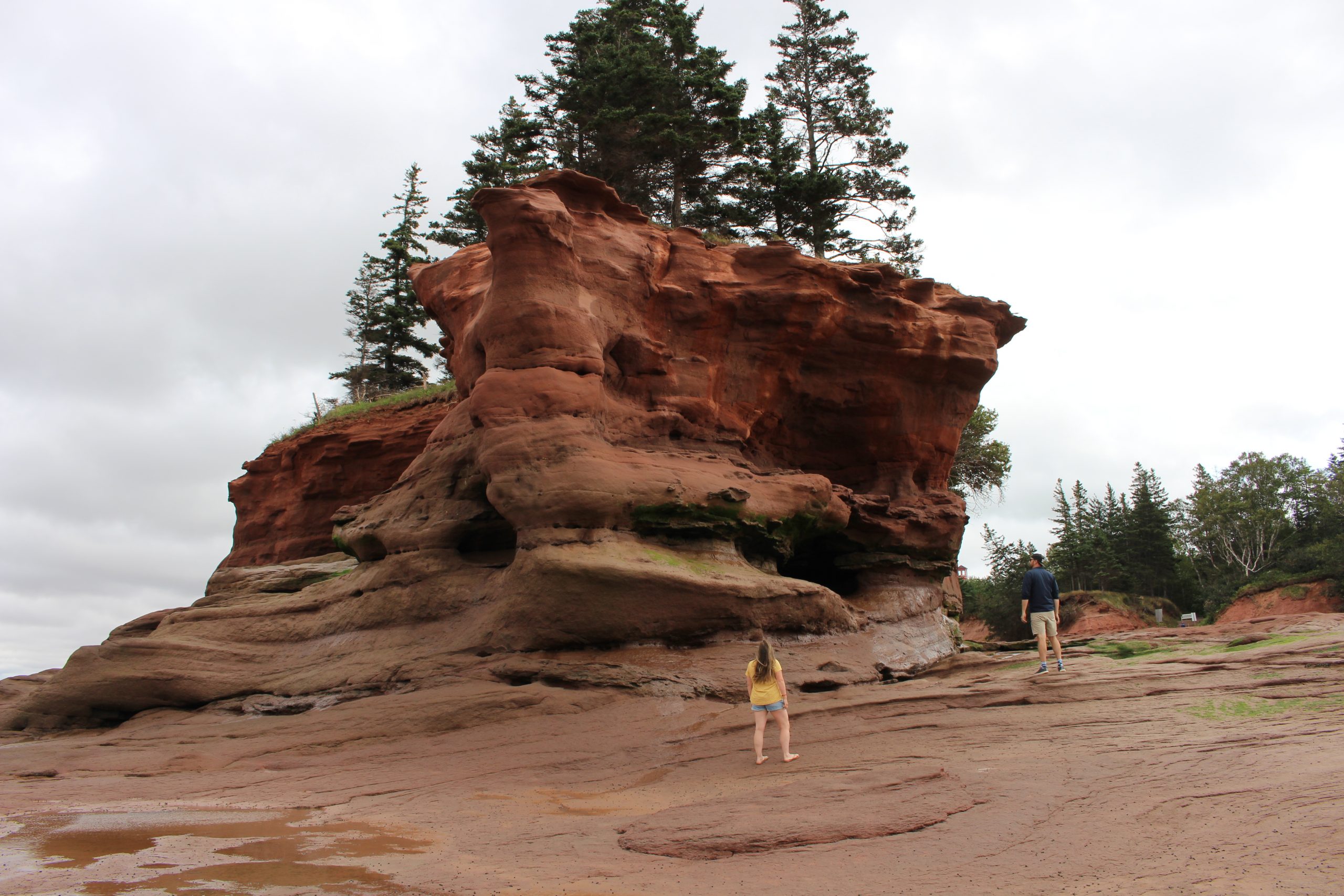 explore the bay of Fundy