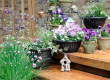 Ultimate Guide to Container Gardening