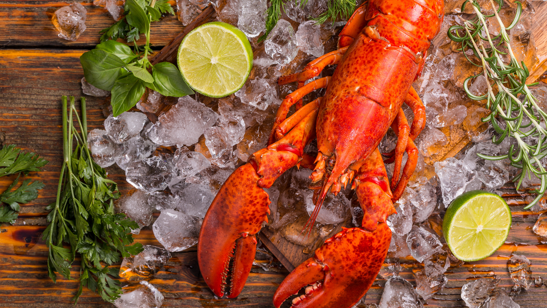 Nova Scotia lobster roll
