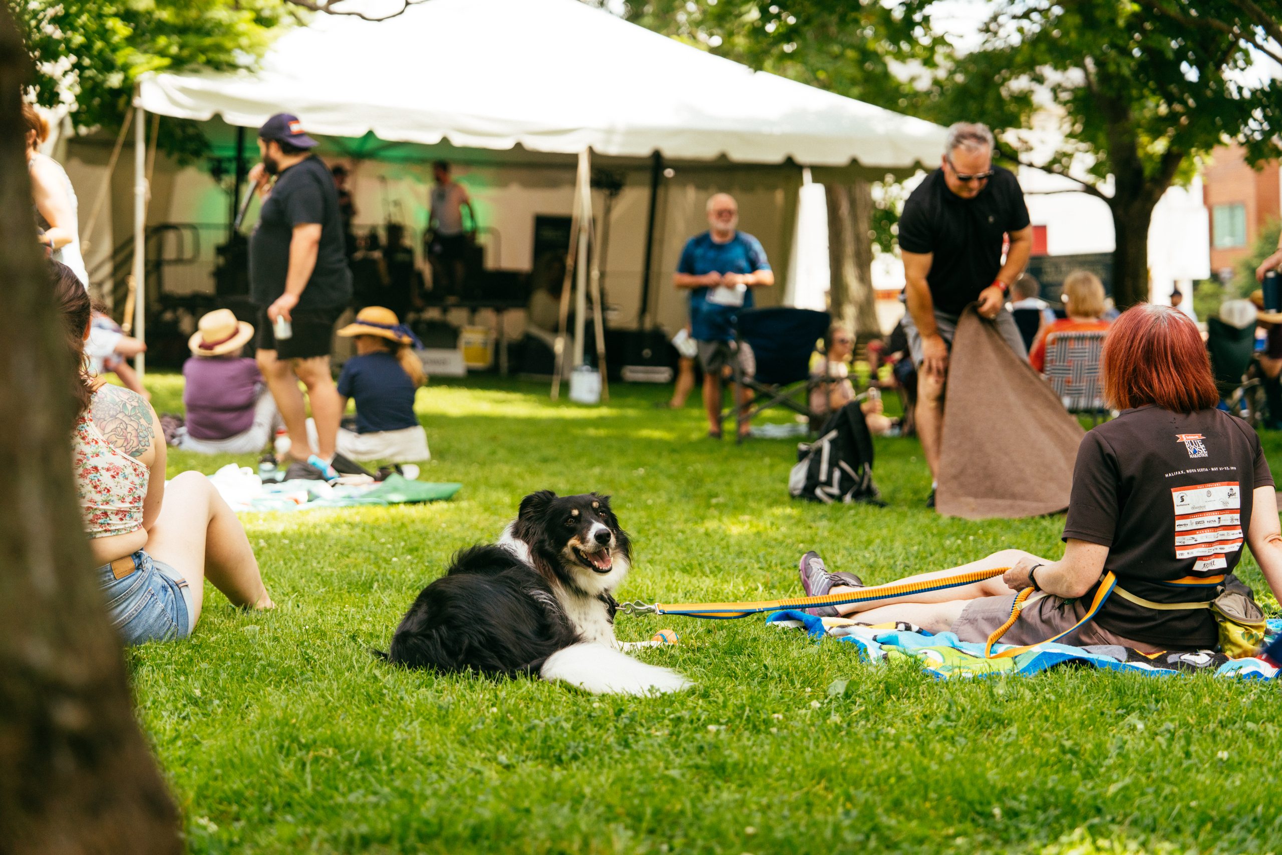 Halifax Jazz Festival